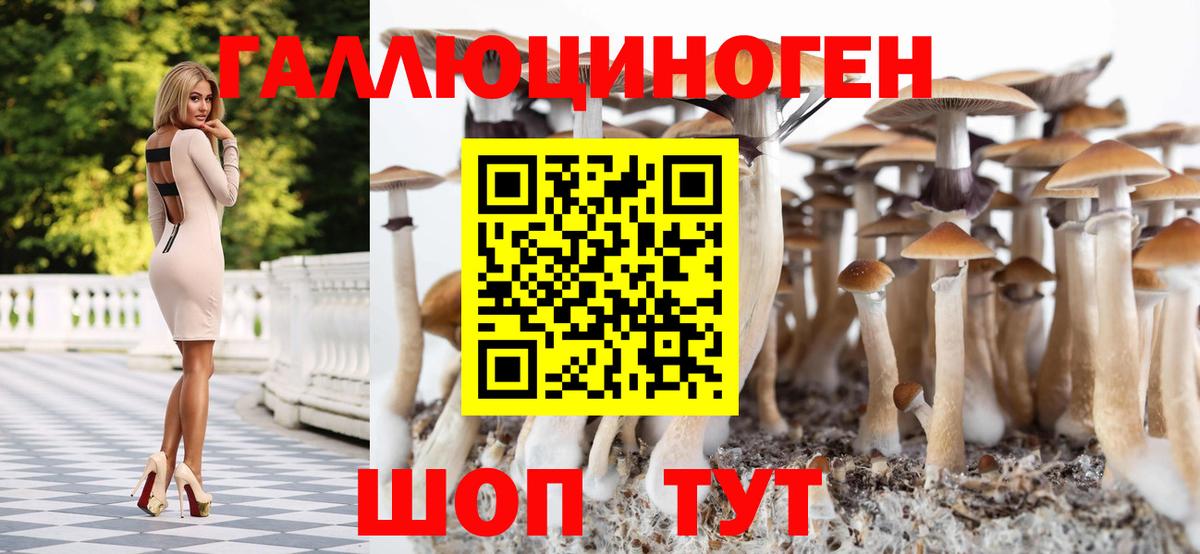 Екатеринбург  Псилоцибиновые грибы прущие грибы  Вход с VPN 