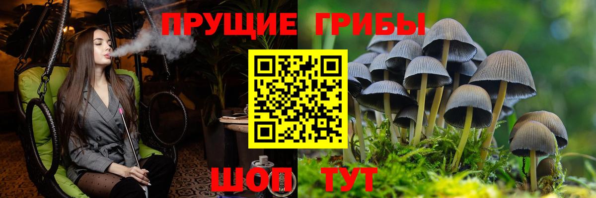 Псилоцибиновые грибы Magic Shrooms Екатеринбург